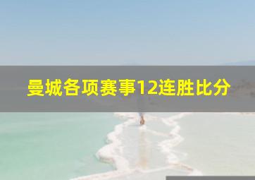 曼城各项赛事12连胜比分