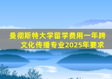 曼彻斯特大学留学费用一年跨文化传播专业2025年要求