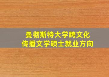 曼彻斯特大学跨文化传播文学硕士就业方向