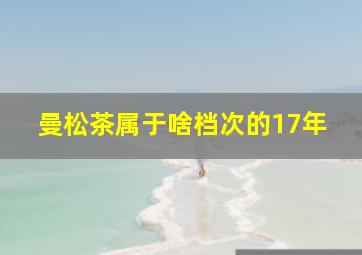 曼松茶属于啥档次的17年