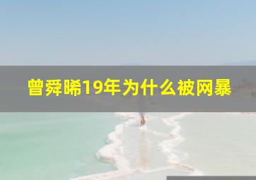 曾舜晞19年为什么被网暴