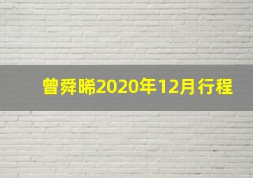 曾舜晞2020年12月行程