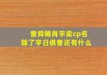 曾舜晞肖宇梁cp名除了宇日俱曾还有什么