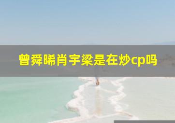 曾舜晞肖宇梁是在炒cp吗