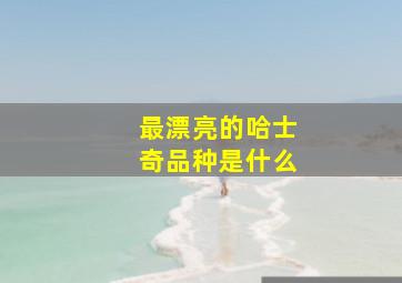 最漂亮的哈士奇品种是什么