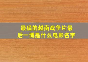 最猛的越南战争片最后一博是什么电影名字