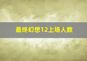 最终幻想12上场人数