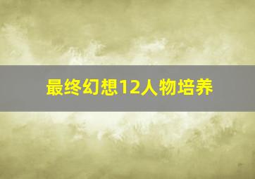 最终幻想12人物培养