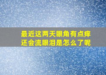 最近这两天眼角有点痒还会流眼泪是怎么了呢