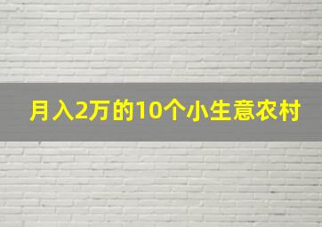 月入2万的10个小生意农村