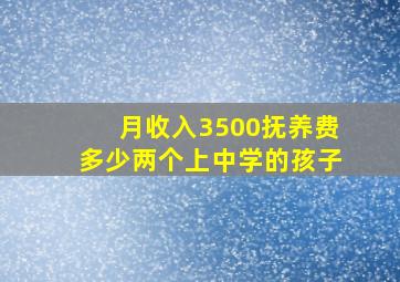 月收入3500抚养费多少两个上中学的孩子