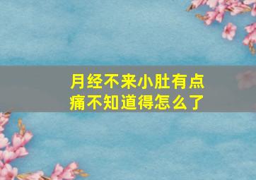 月经不来小肚有点痛不知道得怎么了