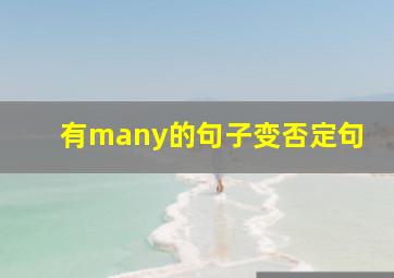 有many的句子变否定句