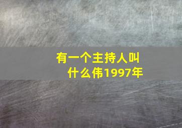 有一个主持人叫什么伟1997年