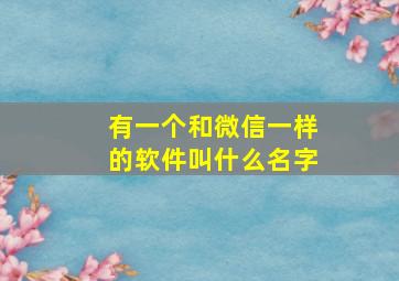 有一个和微信一样的软件叫什么名字