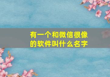 有一个和微信很像的软件叫什么名字