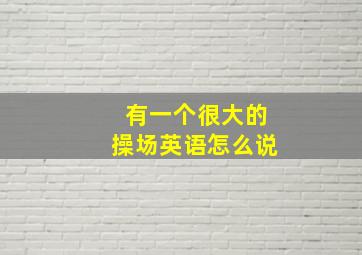 有一个很大的操场英语怎么说