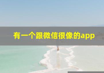 有一个跟微信很像的app