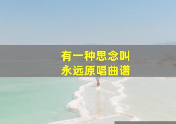 有一种思念叫永远原唱曲谱