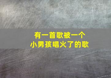 有一首歌被一个小男孩唱火了的歌