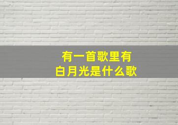 有一首歌里有白月光是什么歌