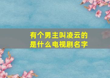 有个男主叫凌云的是什么电视剧名字