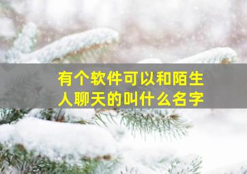 有个软件可以和陌生人聊天的叫什么名字