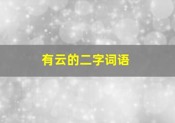 有云的二字词语