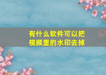 有什么软件可以把视频里的水印去掉