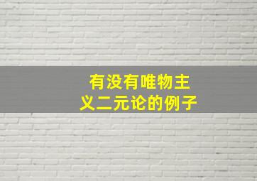 有没有唯物主义二元论的例子