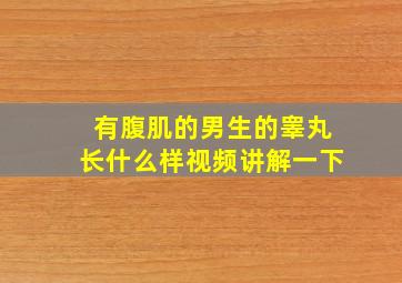 有腹肌的男生的睾丸长什么样视频讲解一下