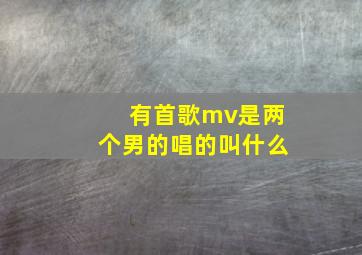 有首歌mv是两个男的唱的叫什么