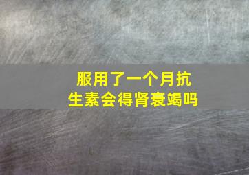 服用了一个月抗生素会得肾衰竭吗