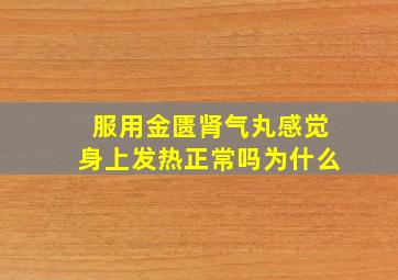 服用金匮肾气丸感觉身上发热正常吗为什么