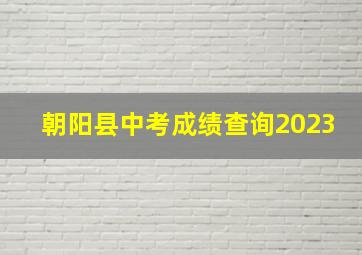 朝阳县中考成绩查询2023