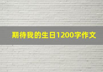 期待我的生日1200字作文