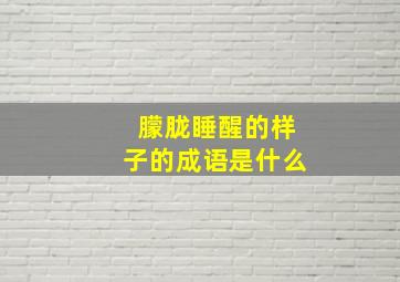 朦胧睡醒的样子的成语是什么