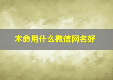 木命用什么微信网名好