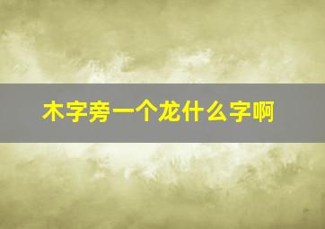 木字旁一个龙什么字啊