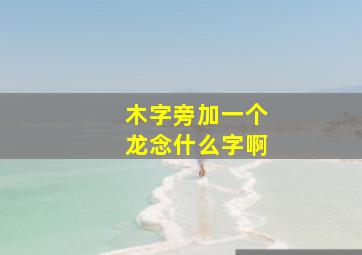 木字旁加一个龙念什么字啊