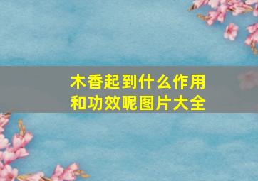 木香起到什么作用和功效呢图片大全