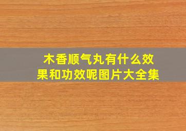 木香顺气丸有什么效果和功效呢图片大全集