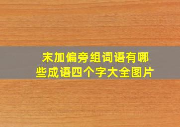 末加偏旁组词语有哪些成语四个字大全图片