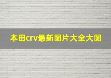 本田crv最新图片大全大图