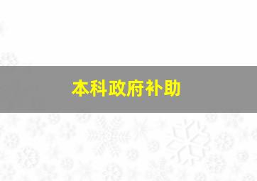 本科政府补助