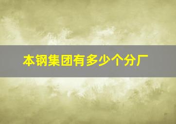 本钢集团有多少个分厂