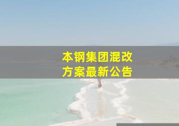 本钢集团混改方案最新公告