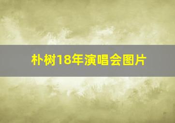 朴树18年演唱会图片