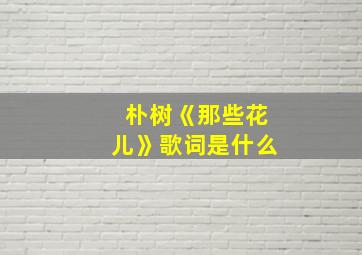 朴树《那些花儿》歌词是什么