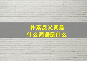 朴素反义词是什么词语是什么